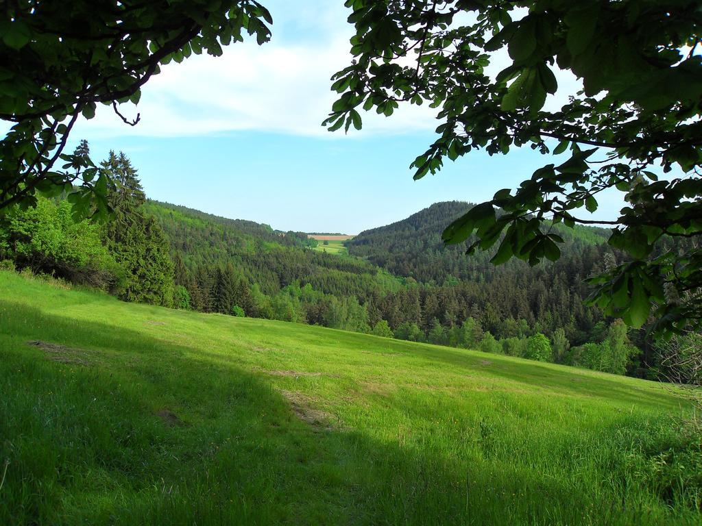 Ferienwohnung Wildenreuth Weidenberg Εξωτερικό φωτογραφία