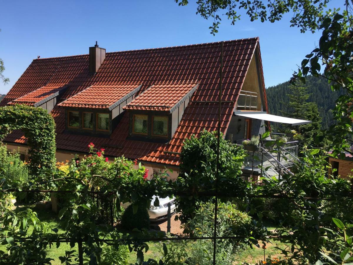 Ferienwohnung Wildenreuth Weidenberg Εξωτερικό φωτογραφία